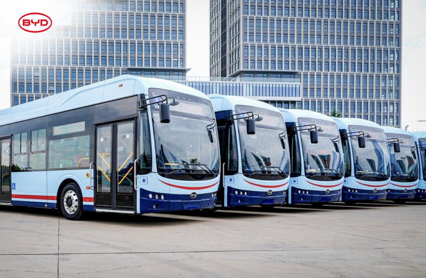 BYD Delivers 100 12-Meter Fully Electric Buses to Uruguayan Transit ...